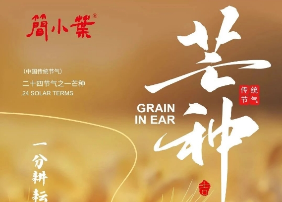 芒茶拾夏｜茶煙輕起時(shí)，「簡(jiǎn)小葉」藏夏色