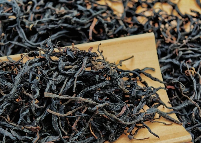 簡(jiǎn)小葉說(shuō)茶|千年古樹(shù)，一盞紅韻——探秘云南古樹(shù)紅茶的自然饋贈(zèng)