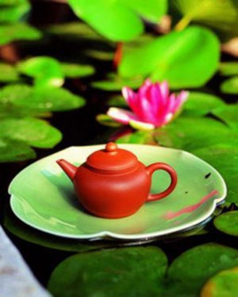 簡(jiǎn)小葉食譜|“天然減肥藥”之荷葉