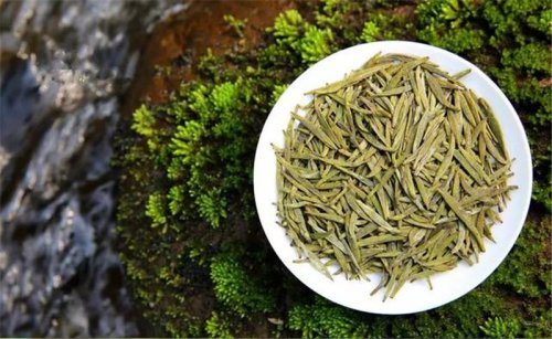 開卷有益｜君山銀針是白茶還是黃茶？