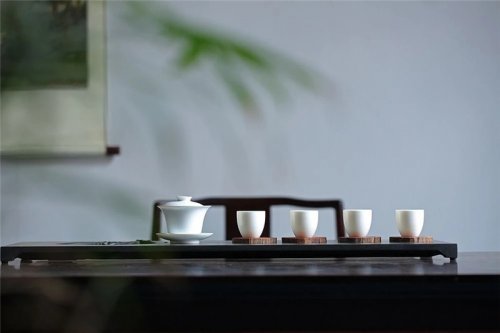 簡小葉說茶|白茶存放多久更好喝？
